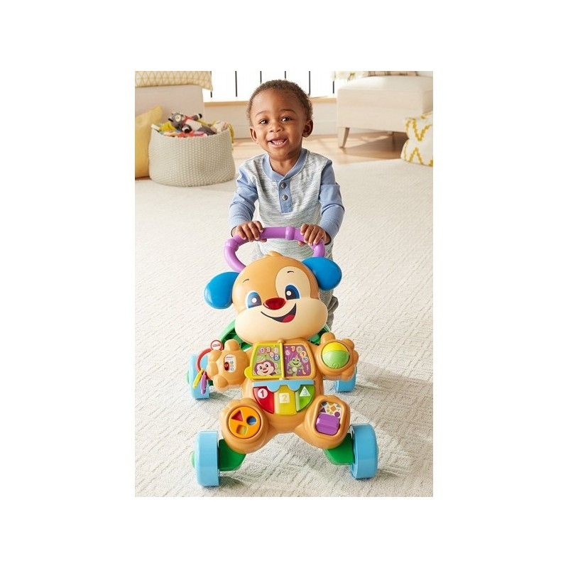 Fisher-Price Εκπαιδευτική Στράτα Σκυλάκι Smart Stages FTC66 - Fisher-Price