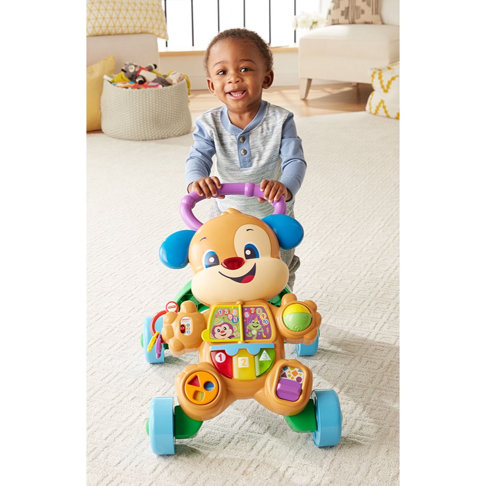 Fisher-Price Εκπαιδευτική Στράτα Σκυλάκι Smart Stages FTC66 - Fisher-Price