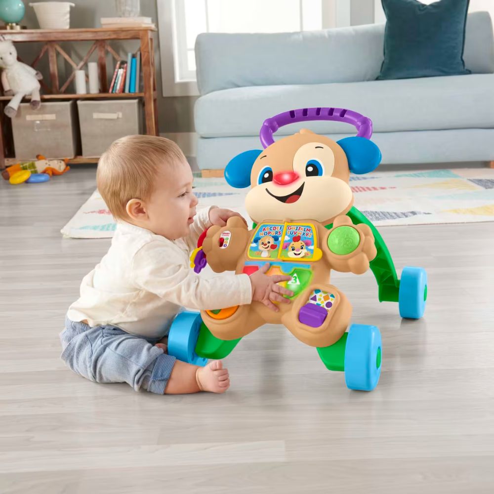 Fisher-Price Εκπαιδευτική Στράτα Σκυλάκι Smart Stages FTC66 - Fisher-Price