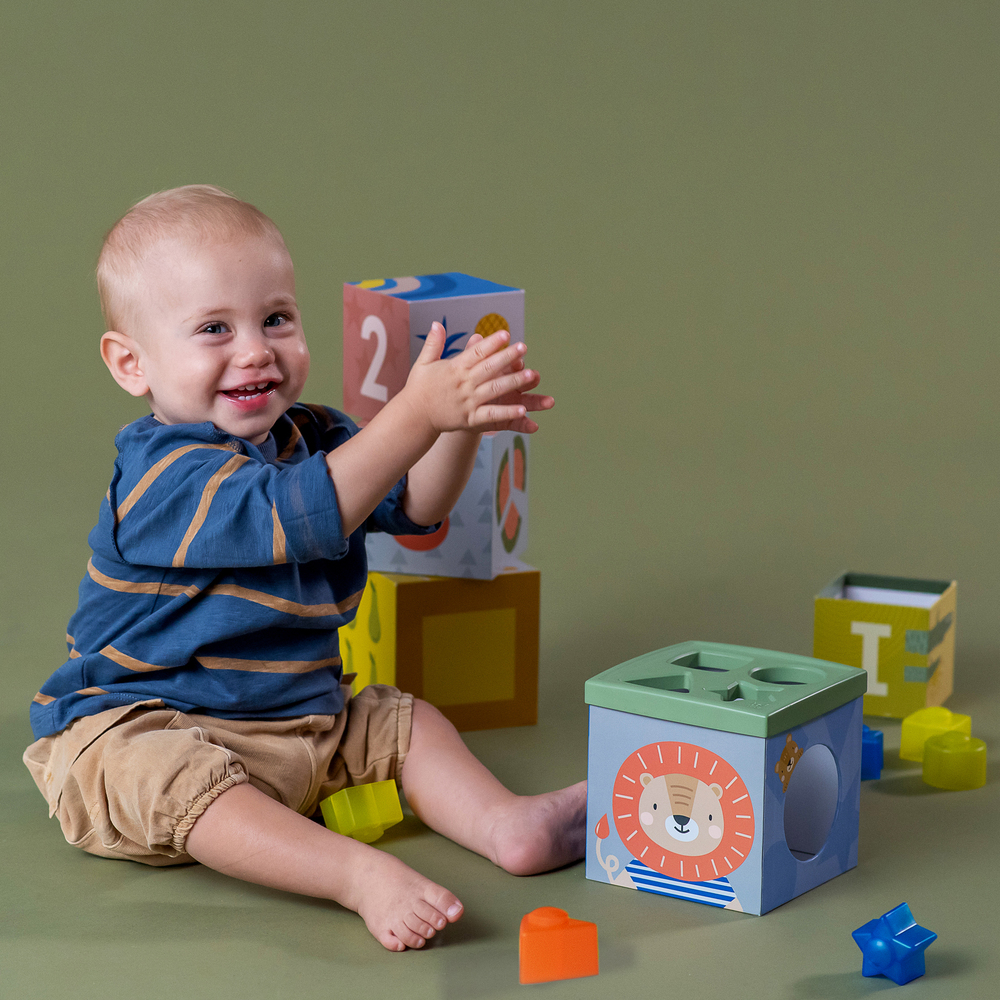 Taf Toys Sort and Stack με Ζωάκια της Σαβάνα T-12725 φωτογραφία