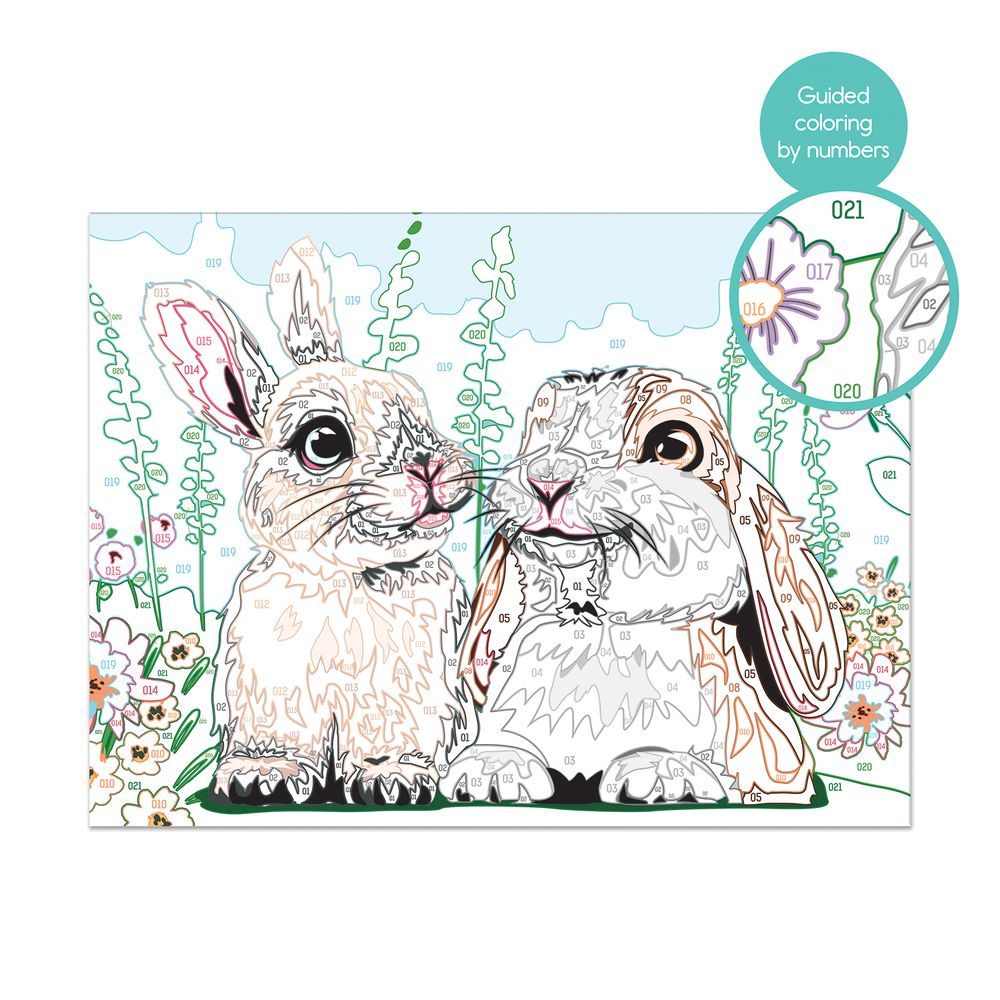 AS Company Paint & Frame Ζωγραφίζω Με Αριθμούς Cute Bunnies Για Ηλικίες 9+ Χρονών 1038-41011 - AS Company