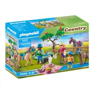 Playmobil - Country Πικ Νικ στην Εξοχή, 71239 - Playmobil, Playmobil Country