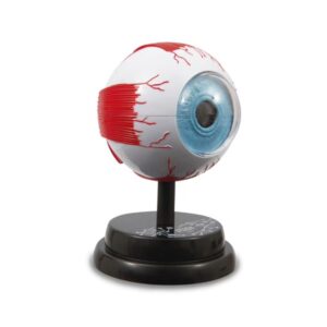 Micro Planet - Επιστημονικό παιχνίδι: Τρισδιάστατο μοντέλο ματιών - Micro Planet