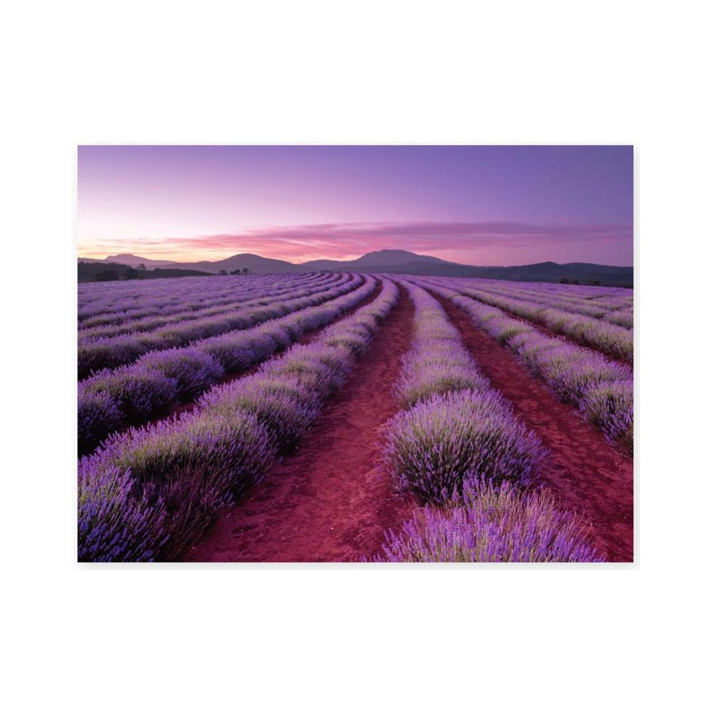 Scented Jigsaw Puzzle: Lavender Hills (500pc) - Hinkler