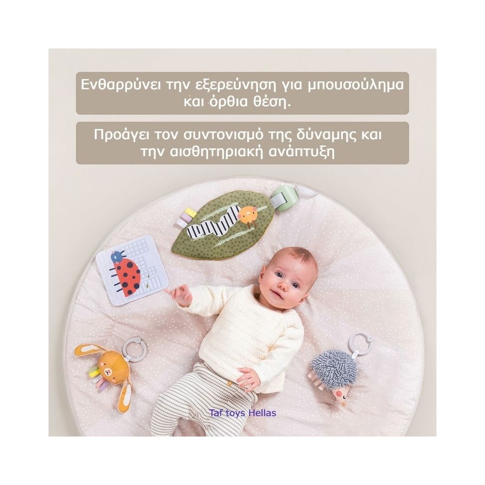 Taf Toys Χαλάκι Δραστηριοτήτων Tummy Time, T-13395 - Taf Toys