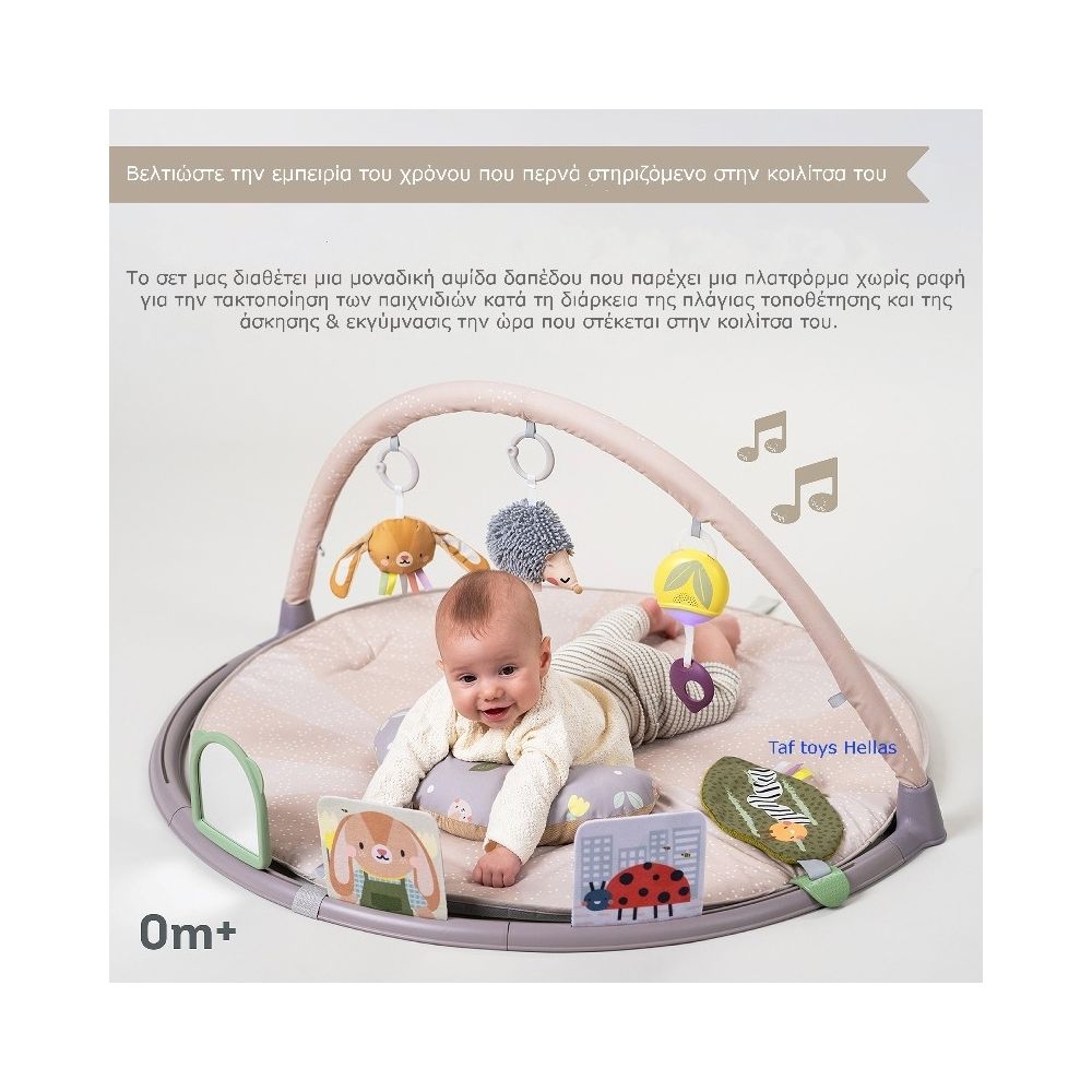 Taf Toys Χαλάκι Δραστηριοτήτων Tummy Time, T-13395 - Taf Toys