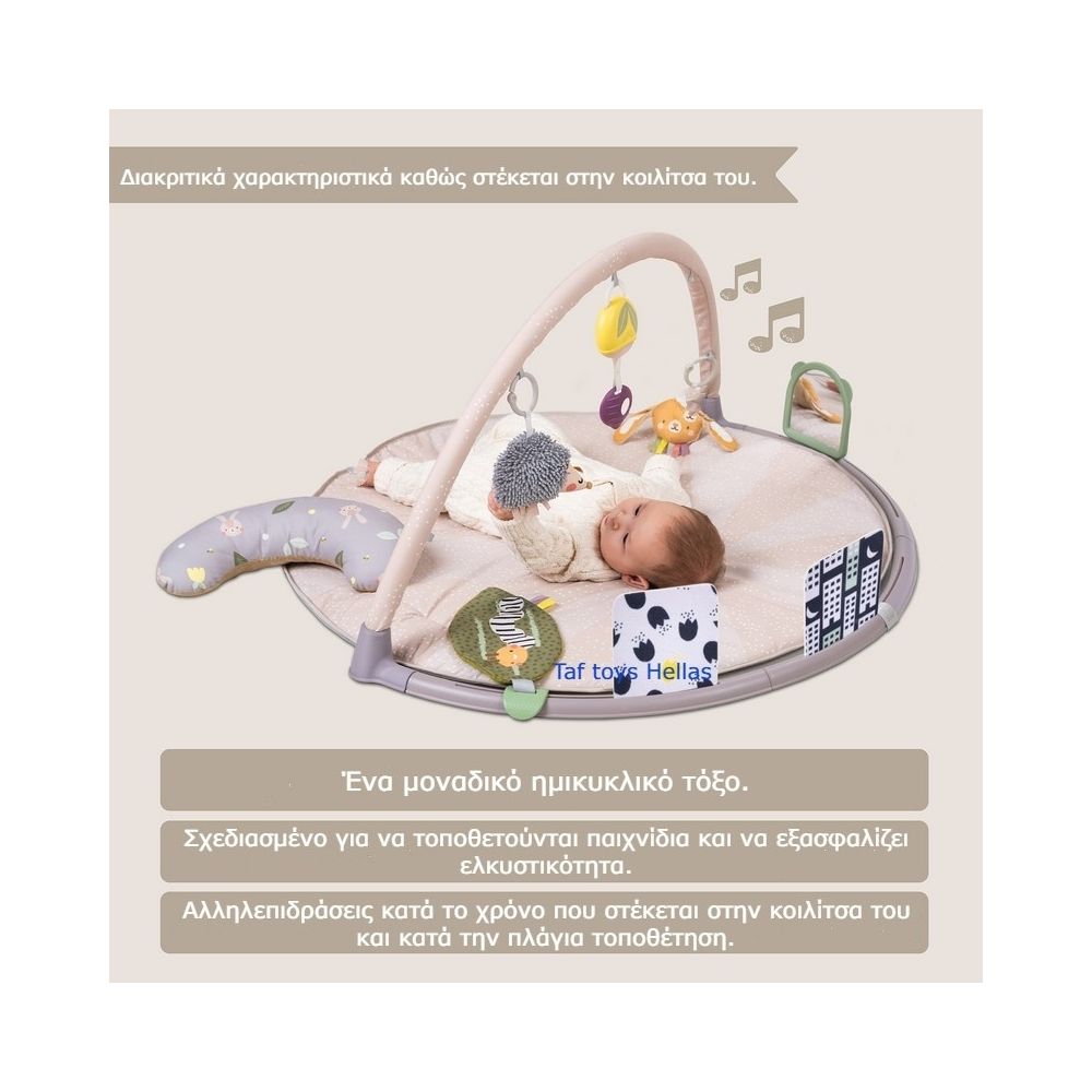 Taf Toys Χαλάκι Δραστηριοτήτων Tummy Time, T-13395 - Taf Toys