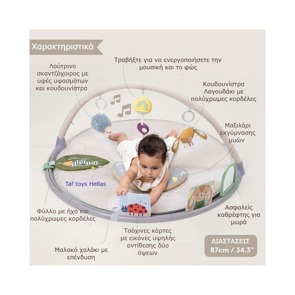 Taf Toys Χαλάκι Δραστηριοτήτων Tummy Time, T-13395 - Taf Toys