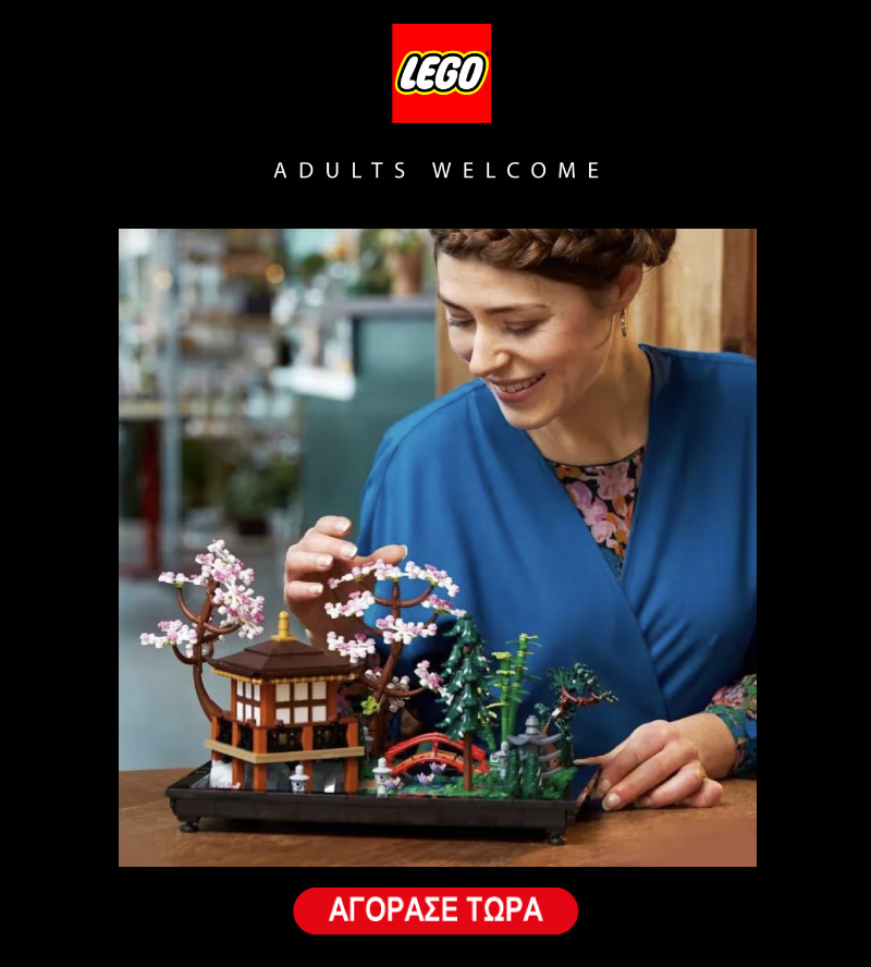 LEGO Adults