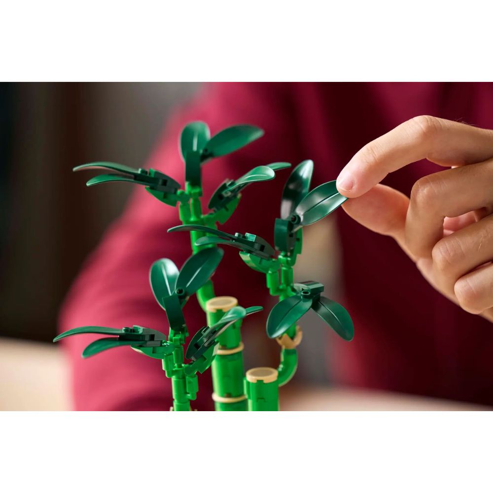 LEGO Botanical Lucky Bamboo 10344 - LEGO, LEGO Botanical Collection