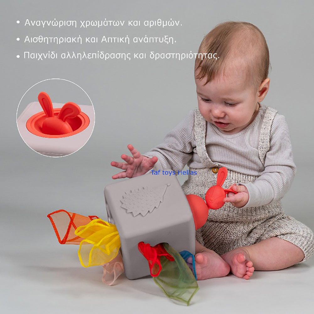 Taf toys Εκπαιδευτικό Παιχνίδι Δραστηριοτήτων Pop Up Tissue Box Taf Toys Τ-13405 - Taf Toys