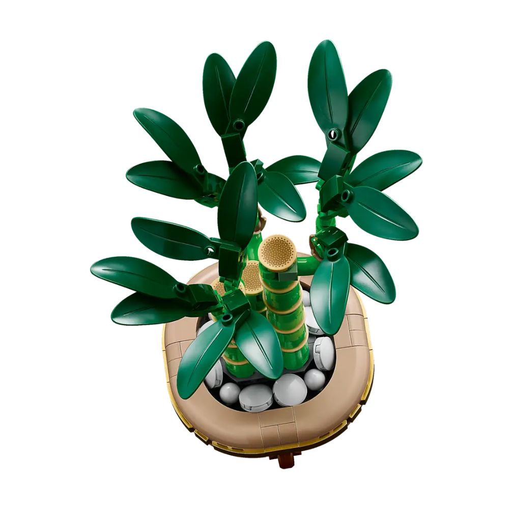 LEGO Botanical Lucky Bamboo 10344 - LEGO, LEGO Botanical Collection