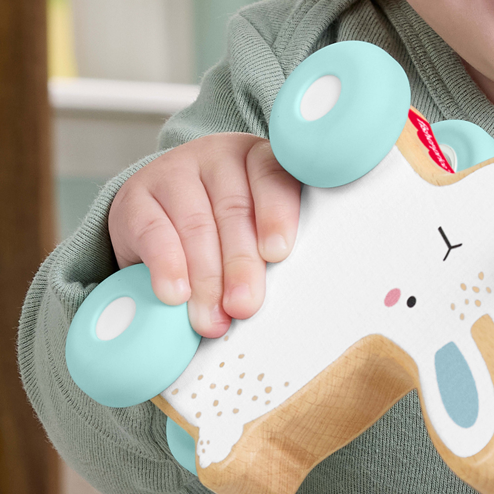 Mattel Fisher-Price Ξύλινο Συρόμενο Λαγουδάκι JDM52 - Fisher-Price