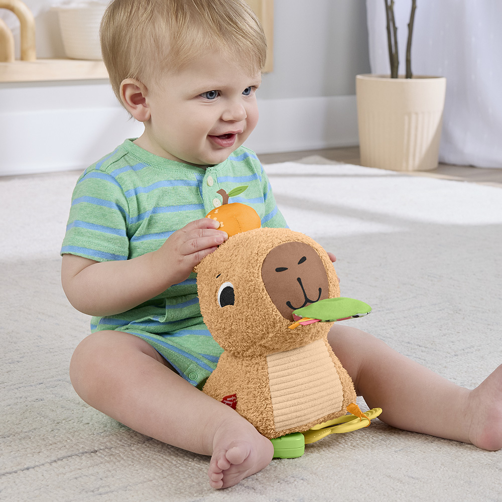 Mattel Fisher-Price Μαλακό Καπιμπάρα Δραστηριοτήτων HYR54 - Fisher-Price