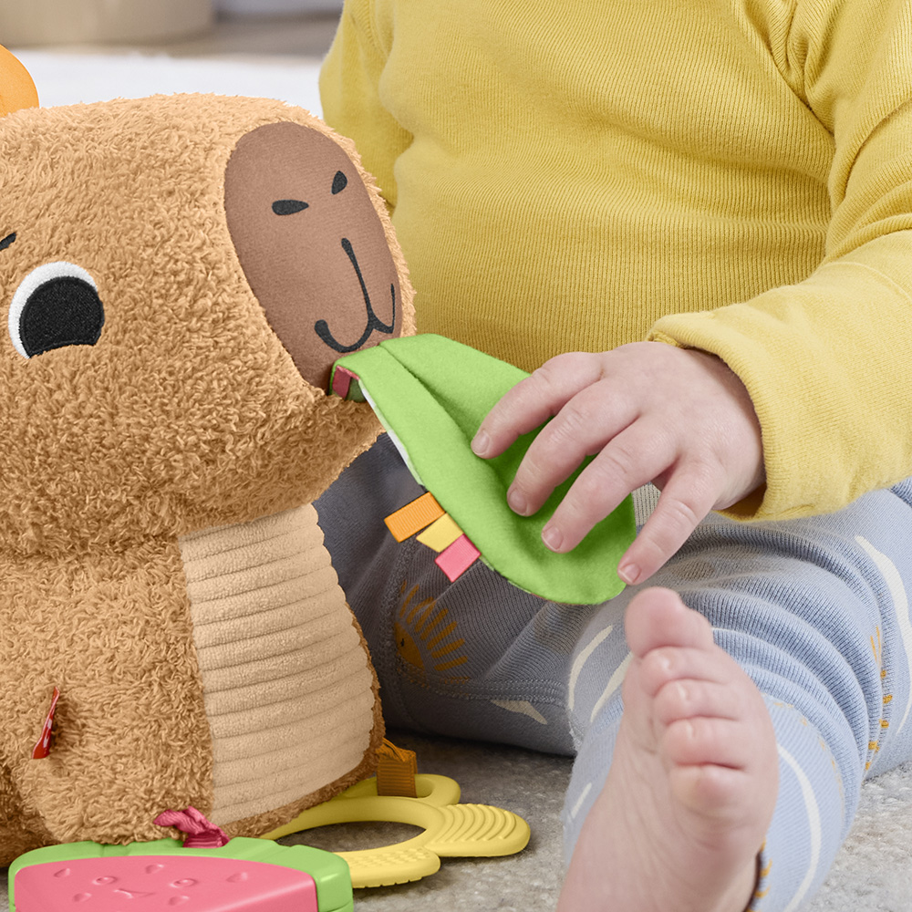 Mattel Fisher-Price Μαλακό Καπιμπάρα Δραστηριοτήτων HYR54 - Fisher-Price