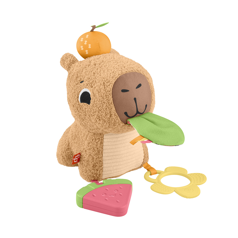 Mattel Fisher-Price Μαλακό Καπιμπάρα Δραστηριοτήτων HYR54 - Fisher-Price