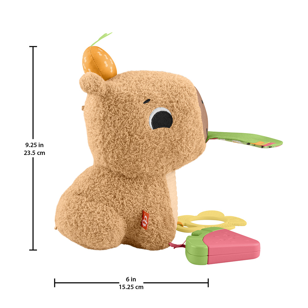 Mattel Fisher-Price Μαλακό Καπιμπάρα Δραστηριοτήτων HYR54 - Fisher-Price